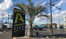 シンボルツリーの椰子の木でお出迎え