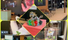 ブログ始めました！