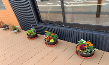 初夏のお花に植え替えました❣