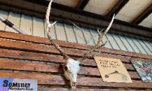 ディスプレイのご紹介です🤩