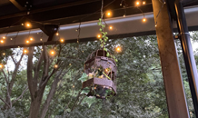 ✨HHDイルミネーション✨