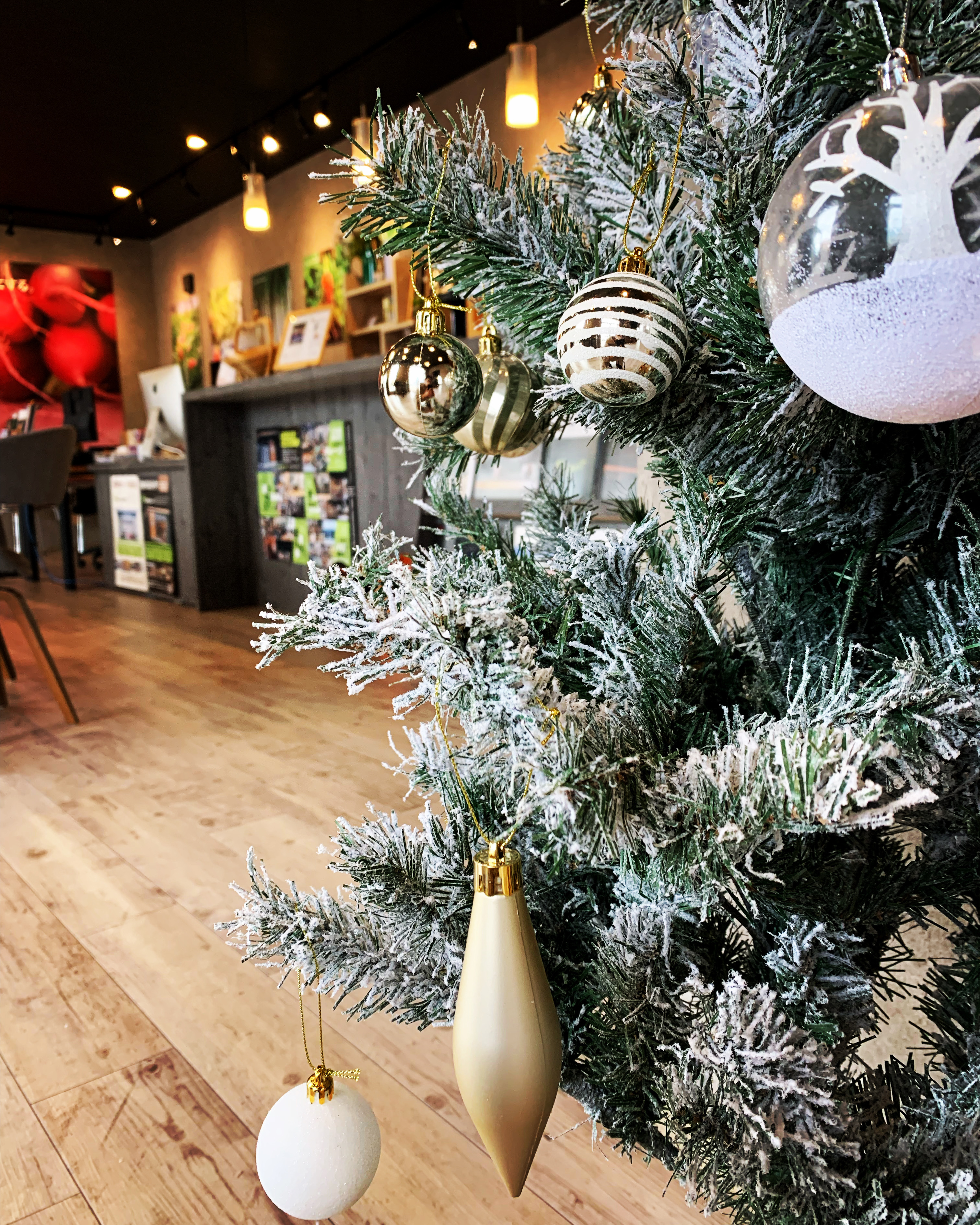 秋ですね、なんなら冬ですね。