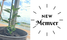 新メンバーご紹介