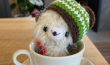 秋がやってきましたね～