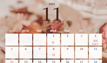 11月休業日のお知らせ