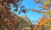 ガレージのある生活に憧れ