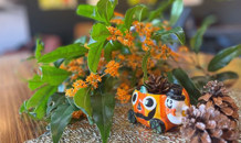 ブログ始めました🤗