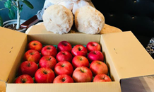 長野から　真っ赤なリンゴが届きました🍎