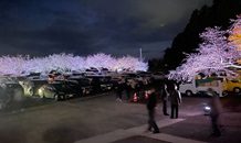 美しい景色を演出！アートで年はじめはいかが？