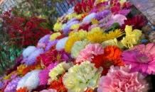 🎍新年のご挨拶