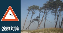 「ちょっとしたことで差がつく、強風対策」