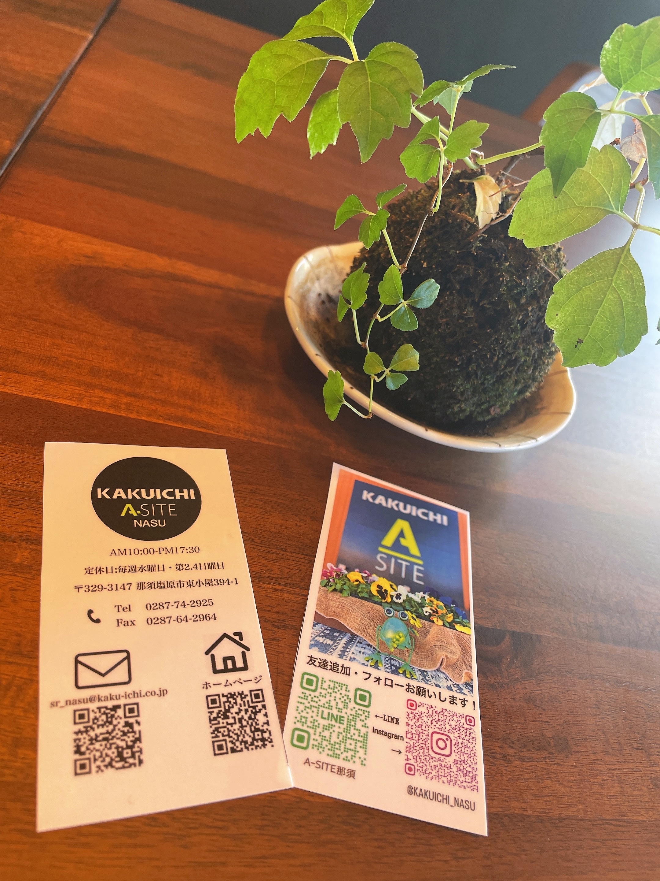 公式LINEデビュー✨友達募集中！！