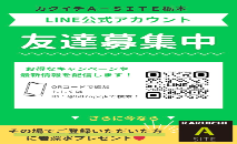 ☆★公式LINEできました★☆