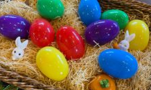 イベントのご案内