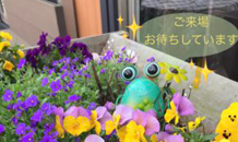 ~MINIHHDのご質問~