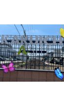 A-SITE橋本☆展示棟建設経過その12☆