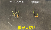 ホースに付けるだけ！？マイクロバブル発生！？🫧