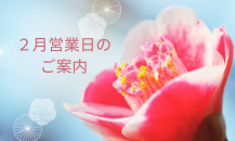 2月営業日のご案内💝