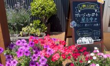 🌻夏季休業日のお知らせ🎐