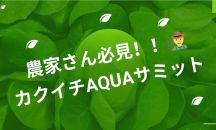 👨‍🌾カクイチAQUAサミット🥒🍅沢山の皆さまに感謝🫧ご視聴ありがとうございました🙇‍♀️