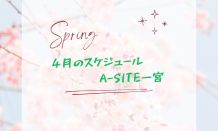 4月のスケジュール📅春がやってきました～🌱桜も満開で綺麗です🌸🌸
