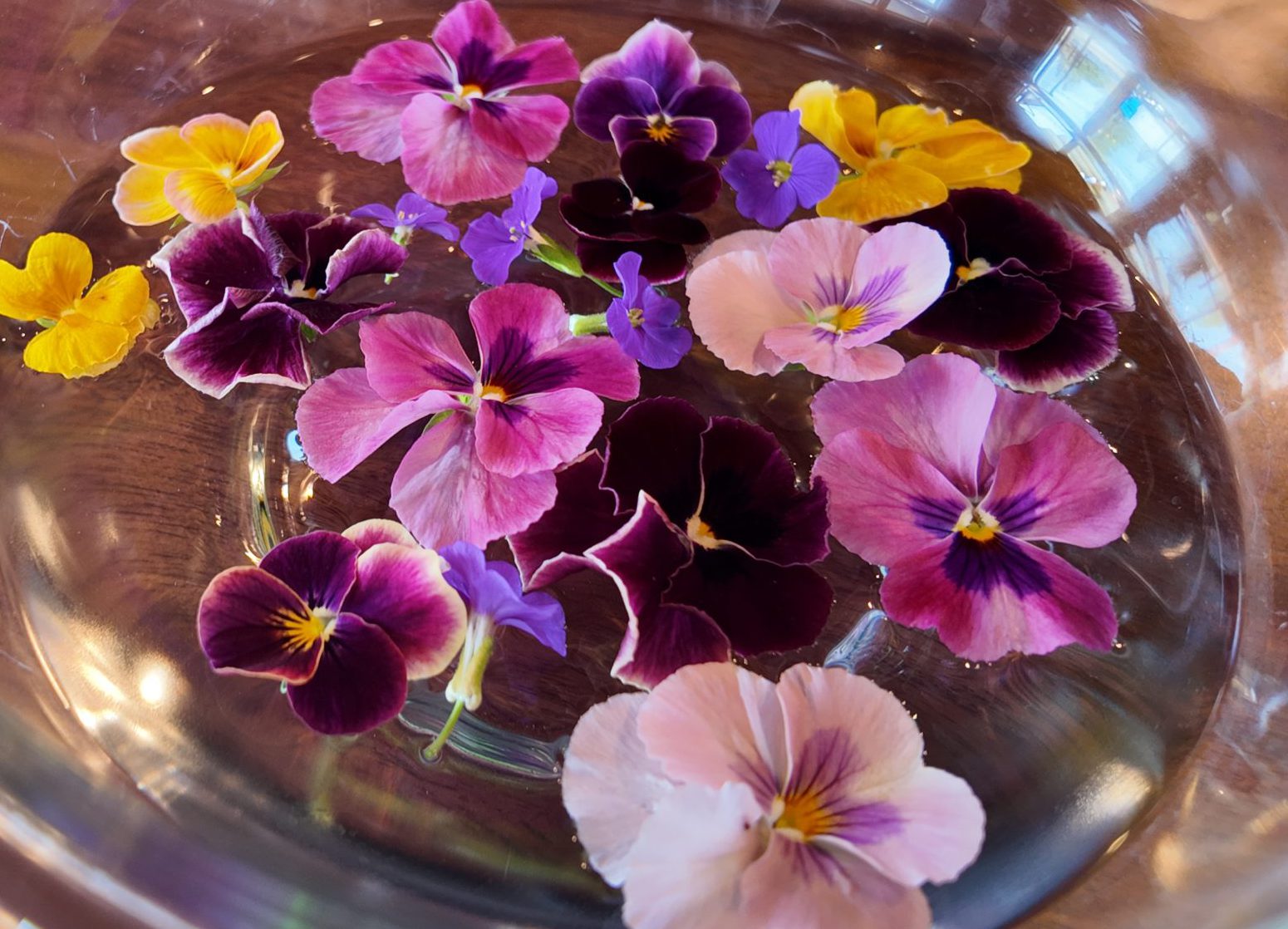 🪷那須店の花手水🪷