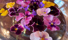 🪷那須店の花手水🪷