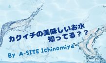 梅雨入り前にもかかわらず夏日になる日も🥵みなさん水分補給してますか🫗