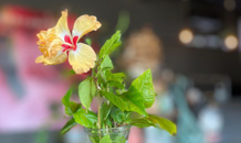 理想のガレージ・倉庫でもっと快適に