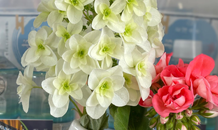 皆様のお越しをお待ちしてま〜す☺️