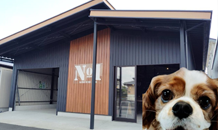 🔧7月イベント開催！建物相談会のお知らせ🔧