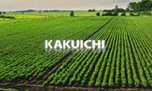 農業経営を改善するならKAKUICHIのアクアソリューション事業がお勧めです