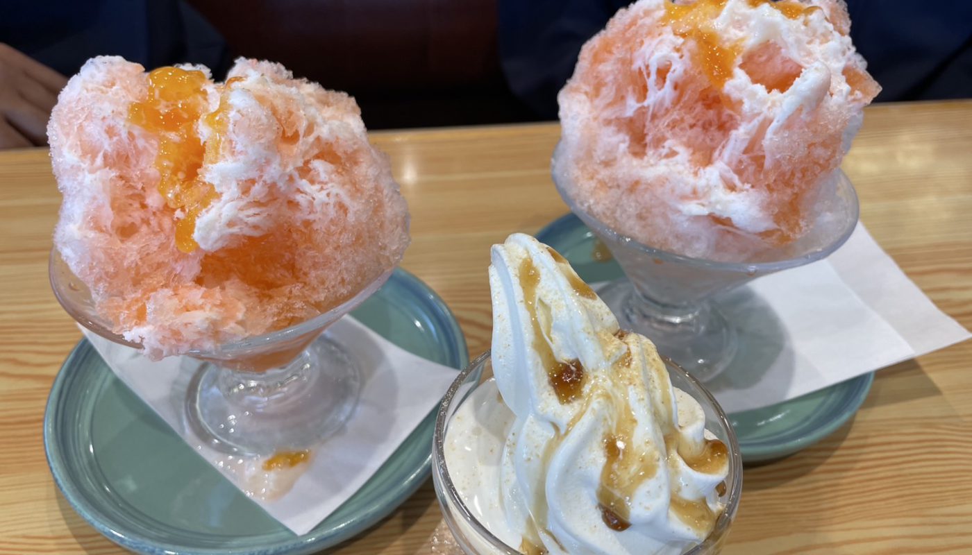 新しい展示棟が仲間入りしました！【CARIBBEAN－Tシリーズ KCT-1035EL1】