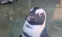 8月の営業日のお知らせ