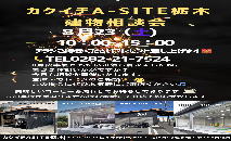 🎆８月建物相談会🎆