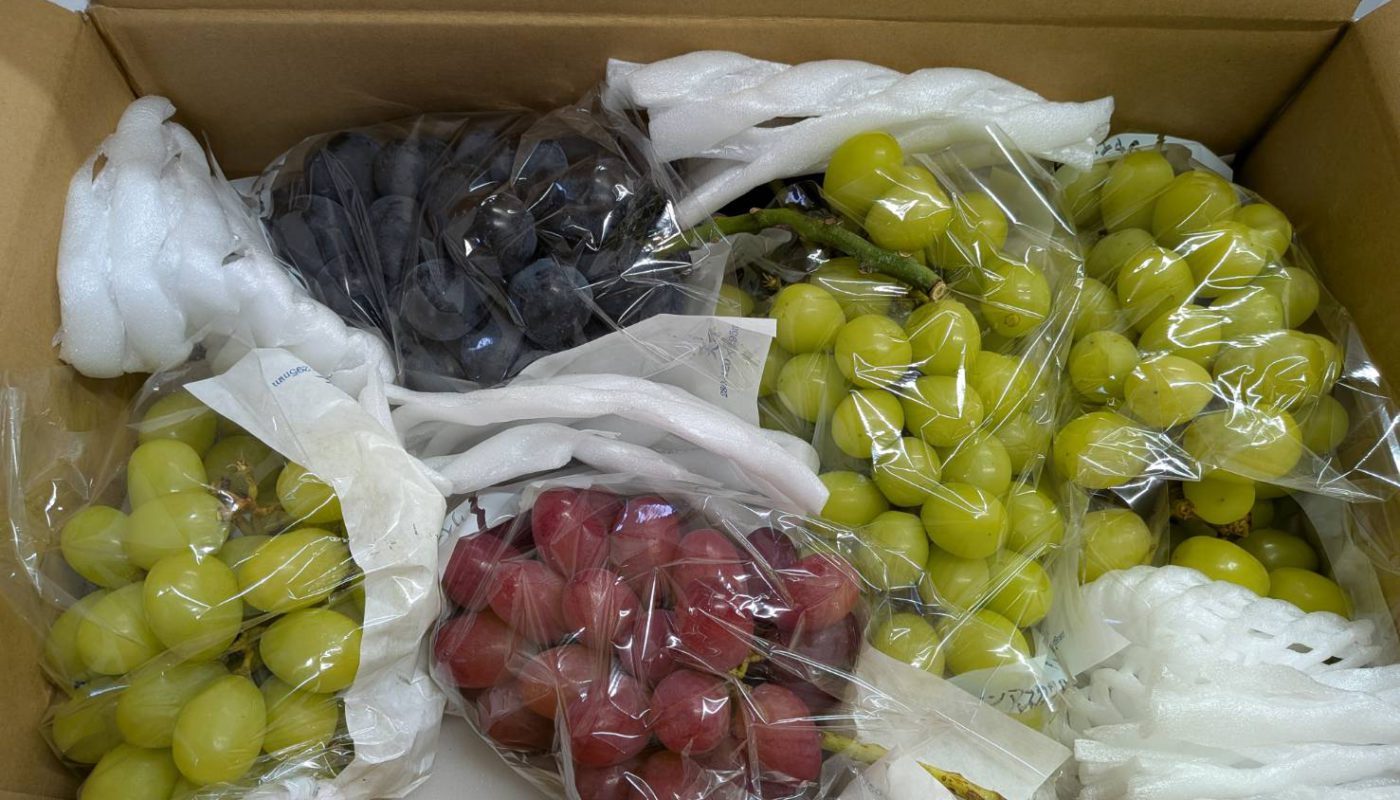 🍁【秋のご挨拶とお知らせ】🍁