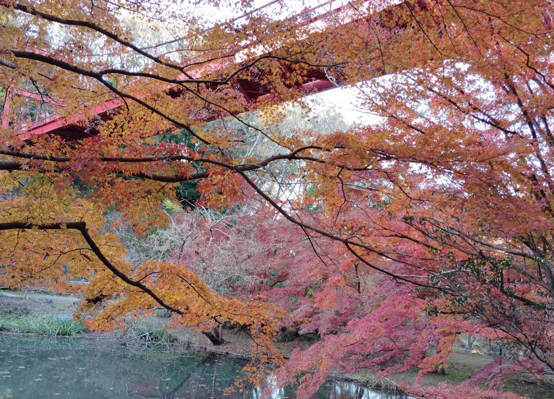 ちょっと寄り道しませんか？🍂 秋のガレージ展示＆相談会🚗🏡