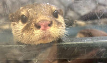 🍁秋の始まりに｜9月のカレンダーをお届けします📆