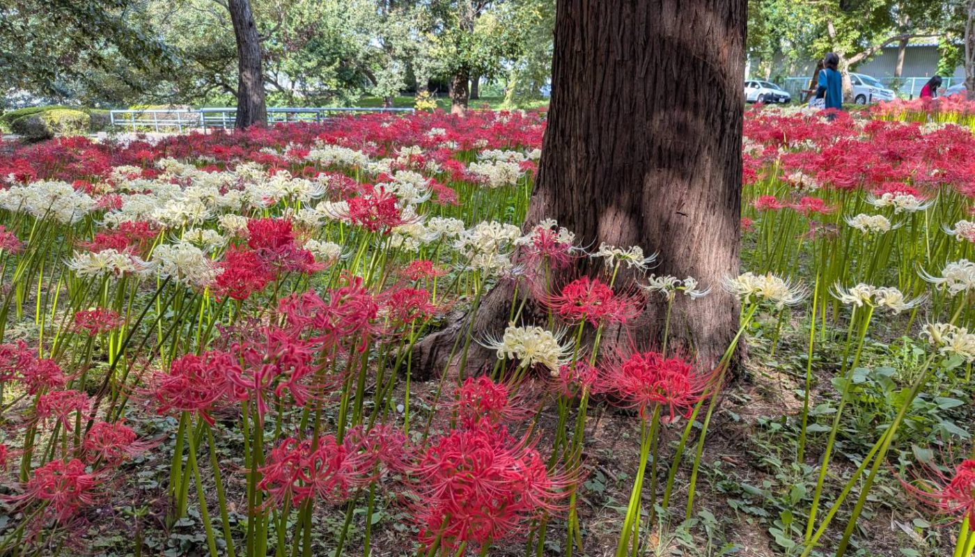 10月もよろしくお願いします♪