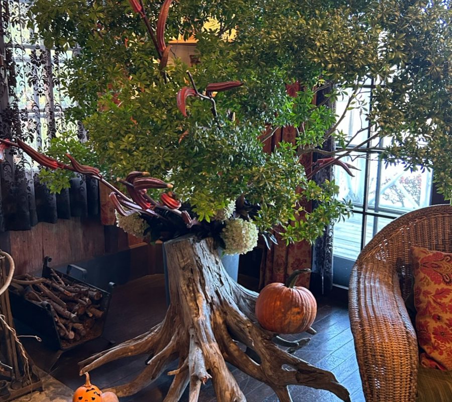 🌾臨時休業のお知らせ🌾