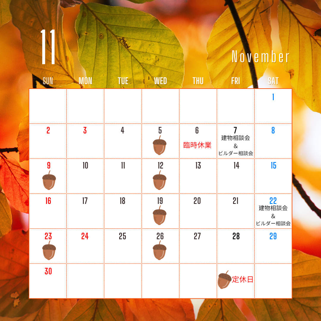 🍁11月営業日のお知らせ🍁カクイチA-SITE春日部店