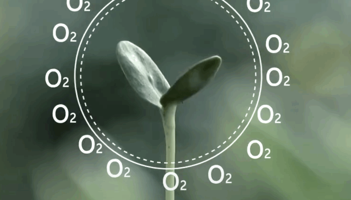 🍂定休日のお知らせ🍂