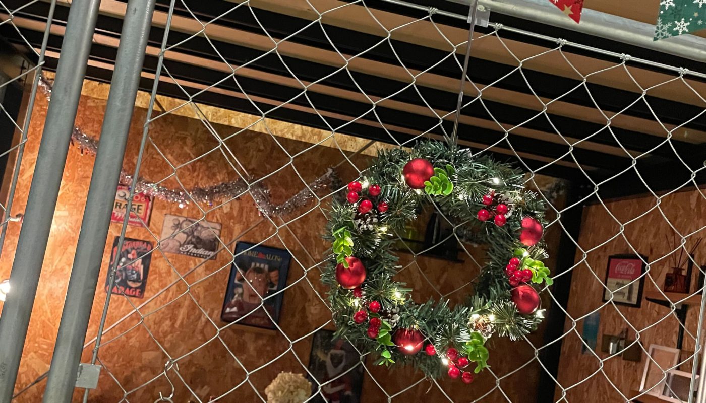 🎄クリスマス建物相談会のお知らせ⛄️