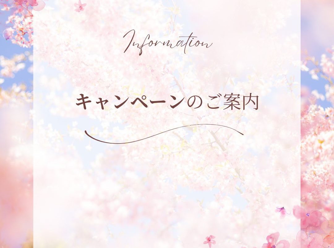✨再見積り・再相談キャンペーン✨のお知らせ