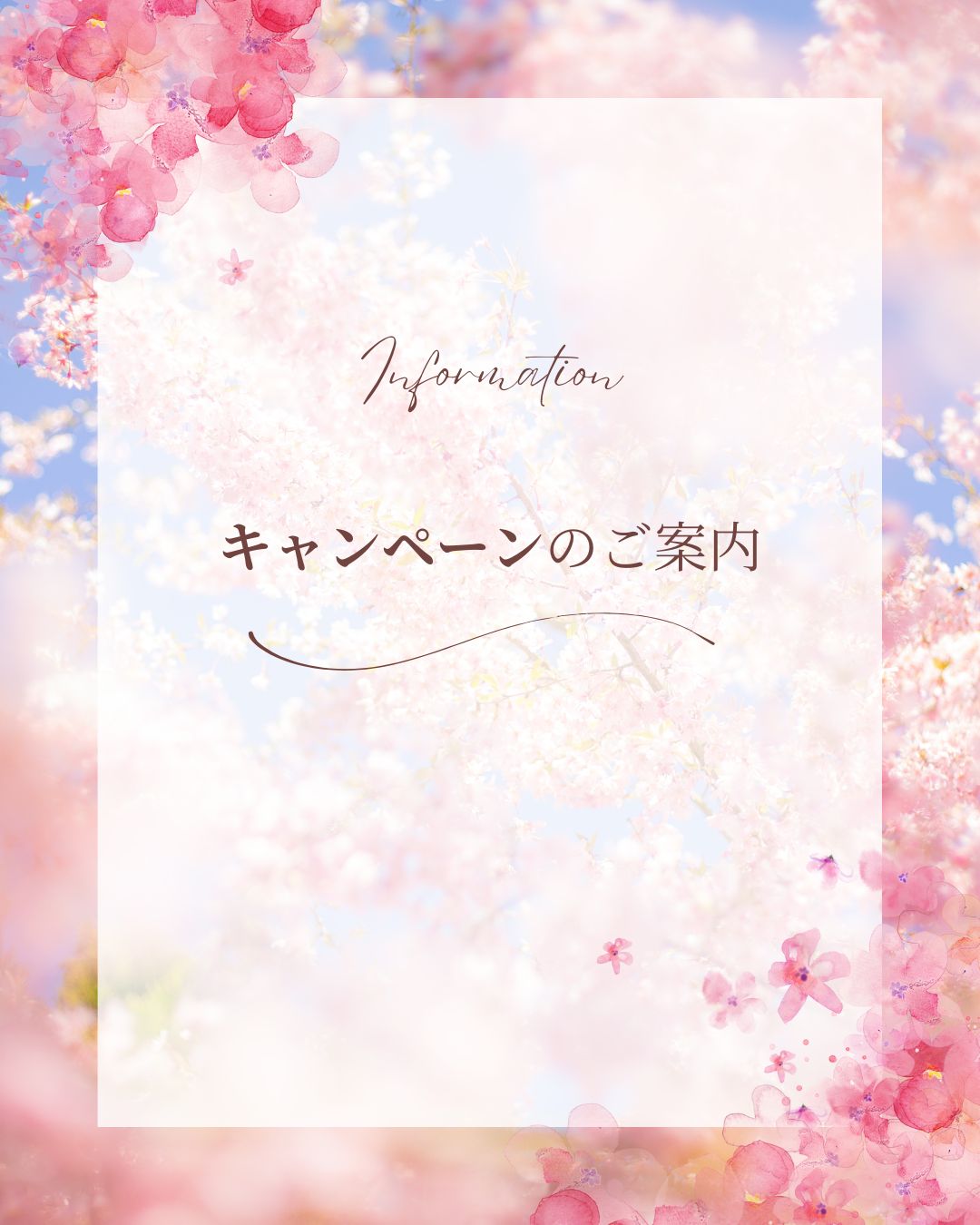 ✨再見積り・再相談キャンペーン✨のお知らせ