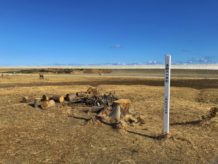 3月11日 東日本大震災から15年｜今あらためて考える防災と備え