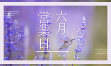 【カクイチ　A-SITE豊橋店】6月の営業日・店休日のご案内と「雨の日のガレージ体験」のススメ
