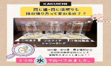 発芽チャレンジ　