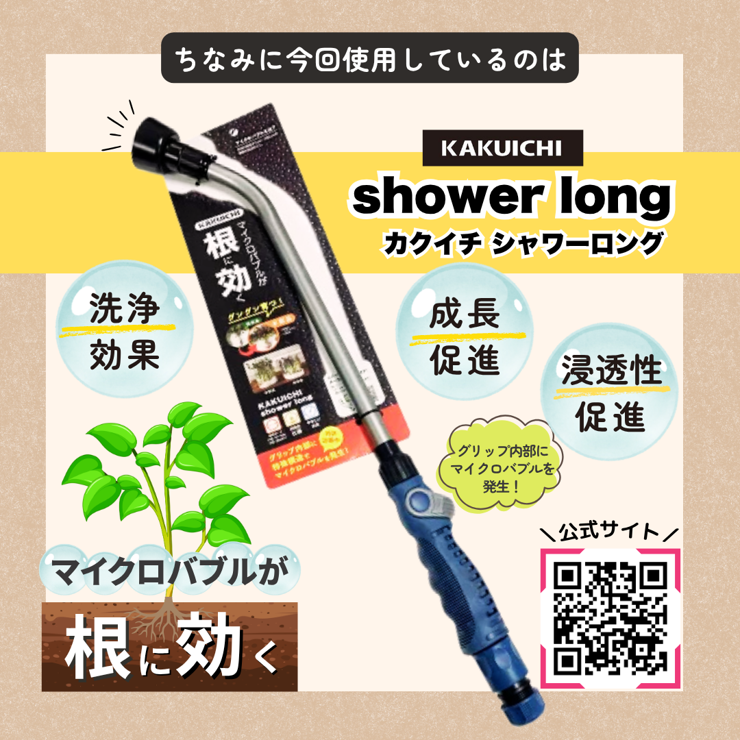 発芽チャレンジ　